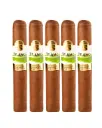 Te Amo | The Original San Andres - Magnum