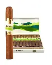 Te Amo |The Original San Andres - Toro
