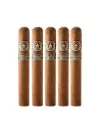 Montecristo | Nicaragua - Churchill