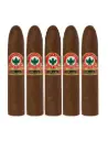 Joya De Nicaragua Antano 1970 Gran Consul