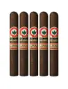 Joya De Nicaragua Antano Gran Reserva Robusto Grande
