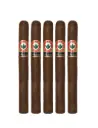 Joya De Nicaragua Antano 1970 Churchill
