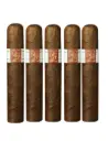 Liga Privada H99 Robusto 