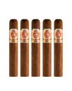 Arturo Fuente | Rosado Sungrown - Rosado 52 