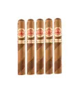 H Upmann | 1844 Special Edition Barbier - Robusto