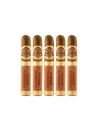 H Upmann | Vintage - Cameroon - Robusto