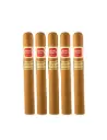 Henry Clay | War Hawk  - Robusto