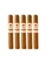 Romeo Y Julieta | 1875 Nicaragua - Bully