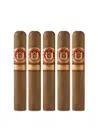 Saint Luis Rey | Serie G Natural - Rothschild