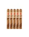 H Upmann | 1844 Special Edition Barbier - Toro