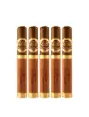 H Upmann | Vintage - Cameroon - Toro
