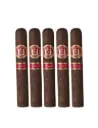 Saint Luis Rey | Serie G Maduro - No. 6