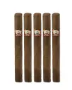 Tatiana | Classic - Cinnamon