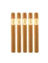 H Upmann | 1844 Classic - Churchill