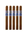 Romeo Y Julieta | Reserva Real Nicaragua - Churchill