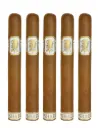 Undercrown Shade Corona