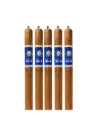 Joya De Nicaragua Numero Uno L'Ambassadeur Limited Edition B&M Exclusive 
