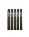 Foundation | Charter Oak Especiales Maduro - Pasquale