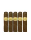 Oliva | NUB Connecticut - 460