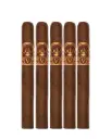 Oliva | Serie V Melanio - Churchill