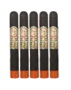 My Father | Le Bijou 1922 - Toro
