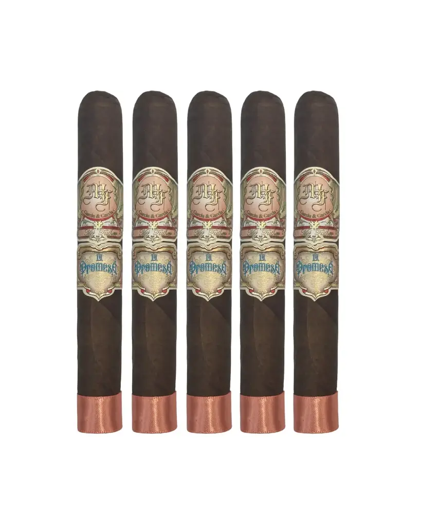 My Father | La Promesa - Toro