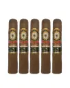 Perdomo | Double Aged 12 Year Vintage CT - Robusto