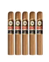 Perdomo | Double Aged 12 Year Vintage CT - Epicure