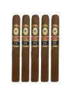 Perdomo | Double Aged 12 Year Vintage CT - Churchill