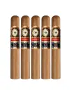 Perdomo | Double Aged 12 Year Vintage CT - Gordo