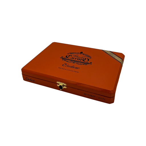 Endure by E.P. Carrillo - Toro