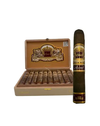 Casa Carrillo Ascend Saddle