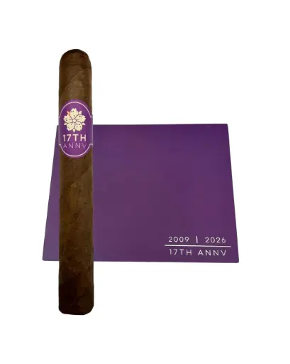 Room 101 17th Anniversary Toro